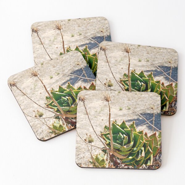 Item preview, Wrigley Memorial Botanical Gardens Study 6  designed and sold by Robert Meyers-Lussier.