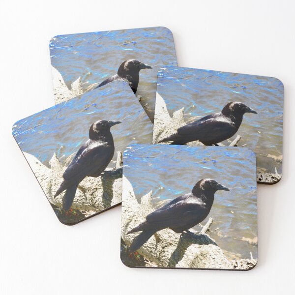 Item preview, Crow on a log designed and sold by Shulie1.