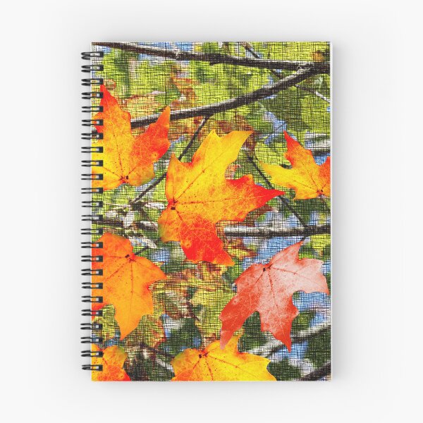Item preview, Autumn Leaves During Peak designed and sold by BostonArcImage.