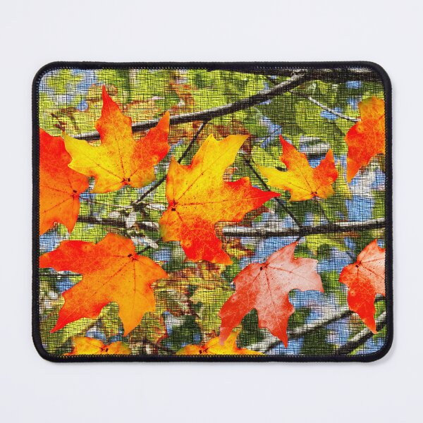 Item preview, Autumn Leaves During Peak designed and sold by BostonArcImage.