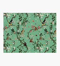 Monkey World Green Photographic Print