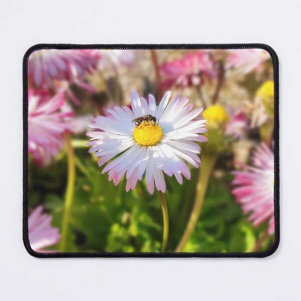 Item preview, Bee collecting pollen from a flower. designed and sold by Anvc-Art.