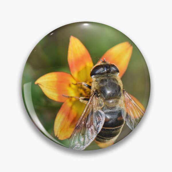 Item preview, Hover fly on a flower designed and sold by The Wolfness Photography.