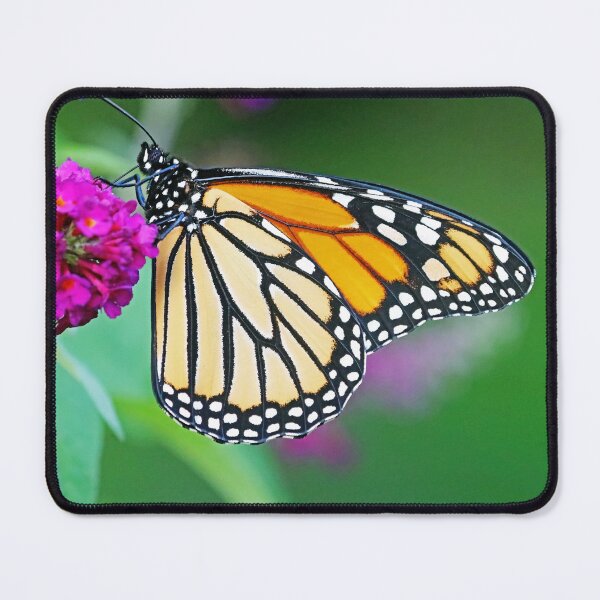 Item preview, Beauty Of The Monarch Butterfly designed and sold by Deb Oppermann.