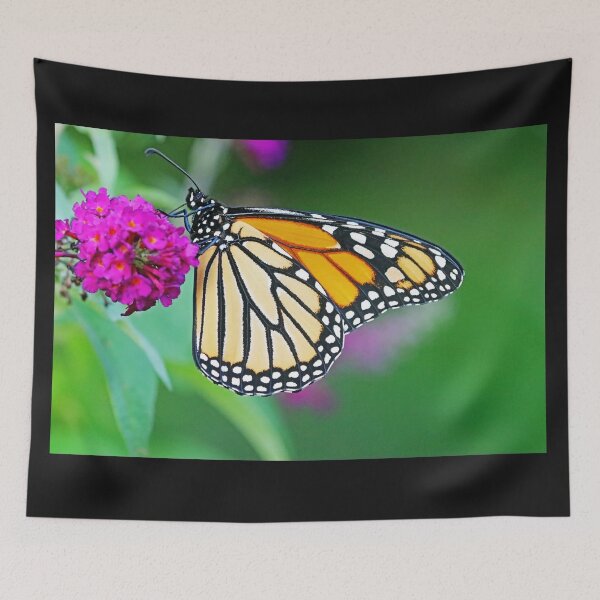 Item preview, Beauty Of The Monarch Butterfly designed and sold by Deb Oppermann.
