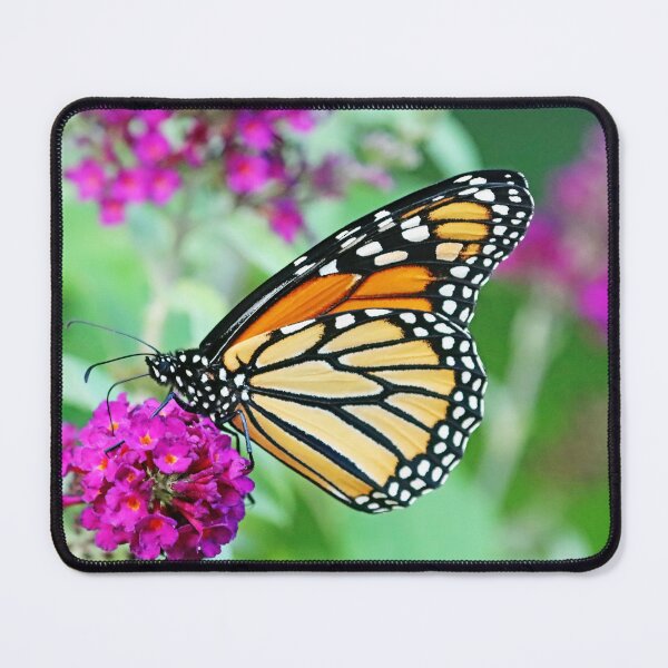 Item preview, Beauty Of The Monarch designed and sold by Deb Oppermann.