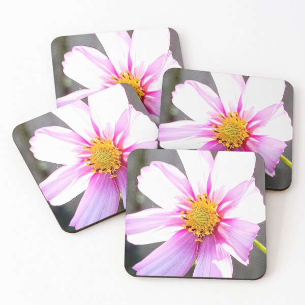 Item preview, Garden Cosmos designed and sold by angel1.