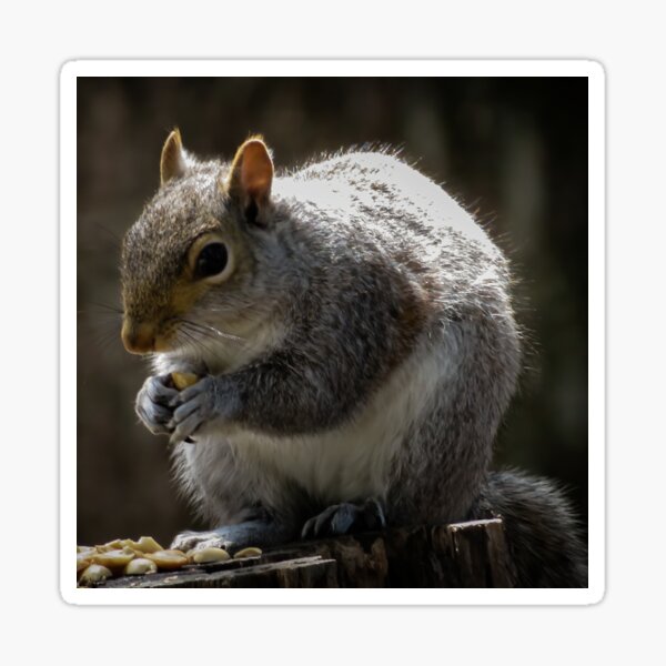 Munchies Sticker