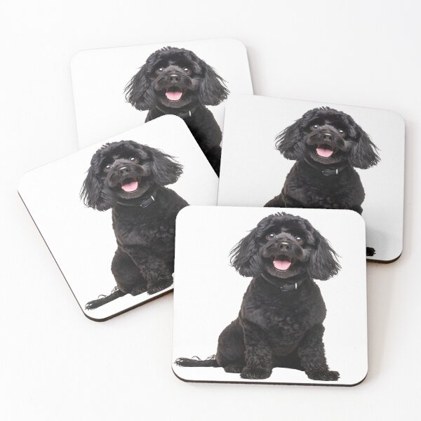 Item preview, Poodle 3 designed and sold by BarkStreetWear.