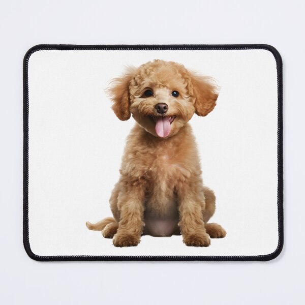 Item preview, Poodle 5 designed and sold by BarkStreetWear.