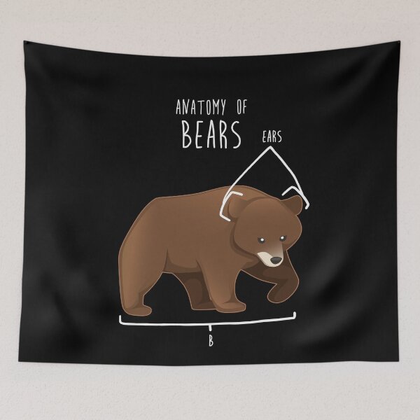 Item preview, Bear Animal Anatomy designed and sold by Clara Hollins.