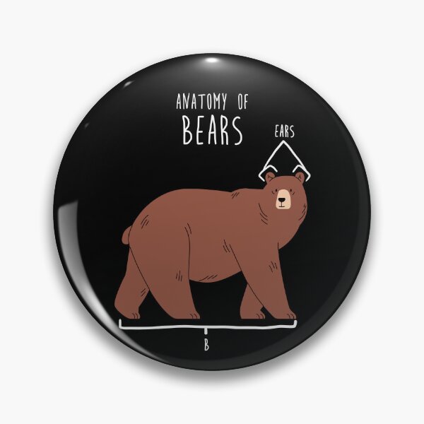 Item preview, Bear Animal Anatomy designed and sold by Clara Hollins.