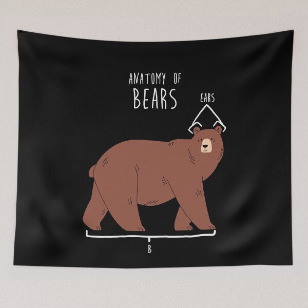 Item preview, Bear Animal Anatomy designed and sold by Clara Hollins.