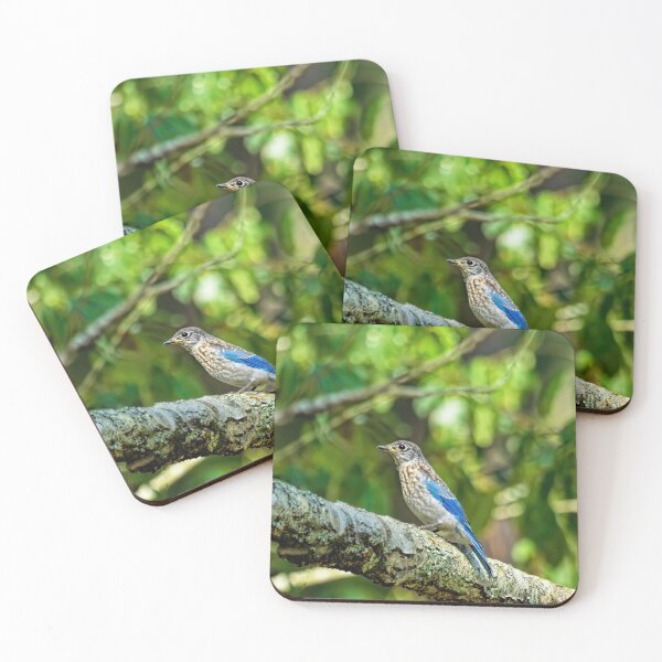 Item preview, Female Eastern Bluebird designed and sold by Kay Brewer.