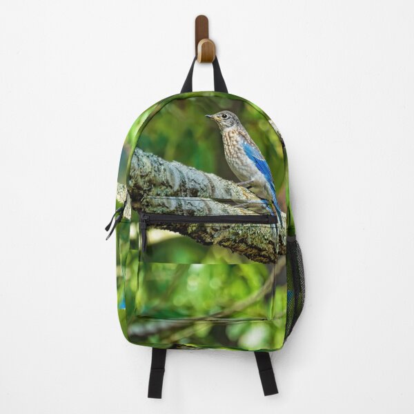 Item preview, Female Eastern Bluebird designed and sold by Kay Brewer.