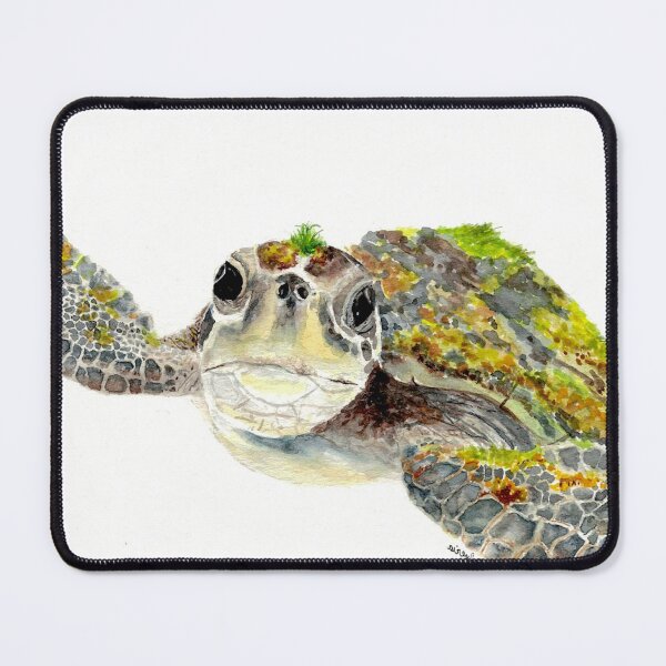 Item preview, Alfalfa the Sea Turtle designed and sold by Franclynart.