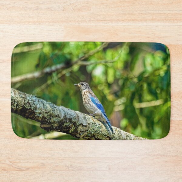 Item preview, Female Eastern Bluebird designed and sold by Kay Brewer.