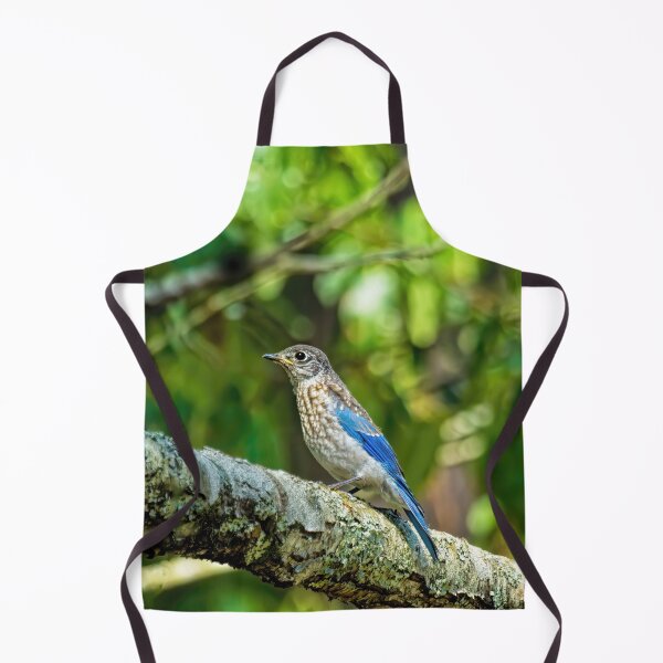 Item preview, Female Eastern Bluebird designed and sold by Kay Brewer.