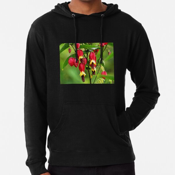 Abutilon-megapotamicum Lightweight Hoodie