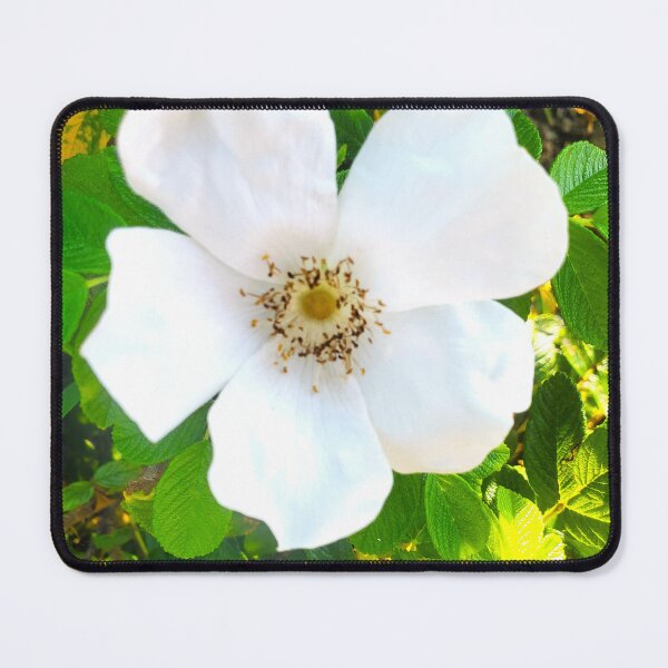 Item preview, White Beach Rose  designed and sold by etherealwonders.