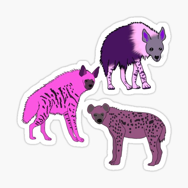 PINK HYENA Box, schwarz, Pink Hyena Südafrika