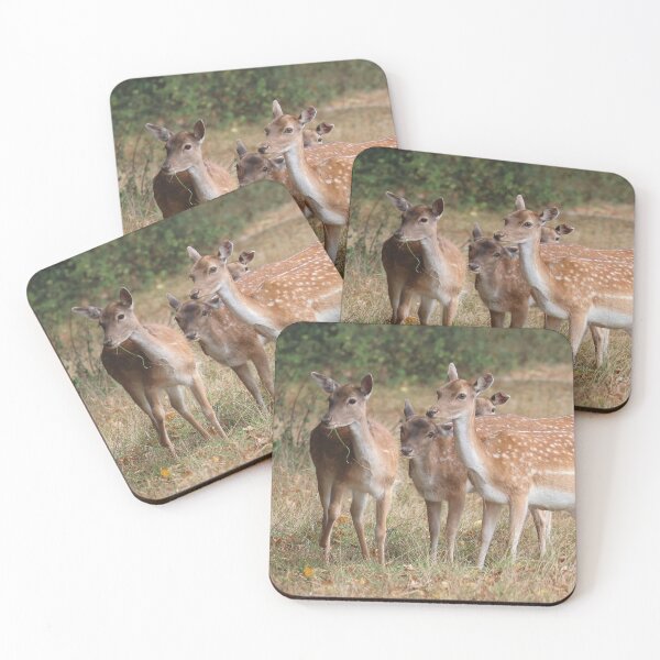 Item preview, Fallow Deer - Bushy Park, London designed and sold by LeanneAllen.