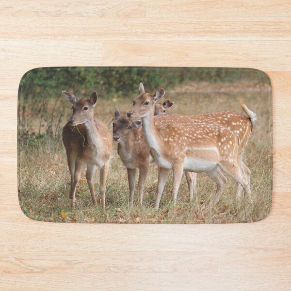 Item preview, Fallow Deer - Bushy Park, London designed and sold by LeanneAllen.