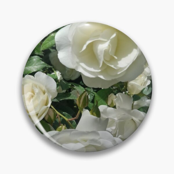Item preview, roses in my garden designed and sold by ArteRuiz32.