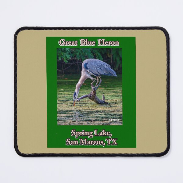Item preview, Give Someone You Love The Bird: Great Blue Heron, Spring Lake, San Marcos, Texas designed and sold by MoreEZUSA-Here.