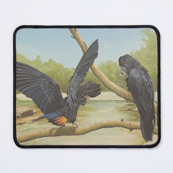 Item preview, Glossy Black Feathers designed and sold by Dario Zanesco.
