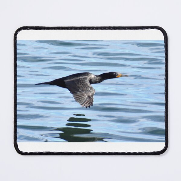 Item preview, Cormorant in flight designed and sold by Eleu Tabares.