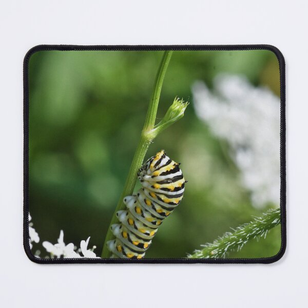 Item preview, Eat Your Vegetables designed and sold by WWbugsandslugs.