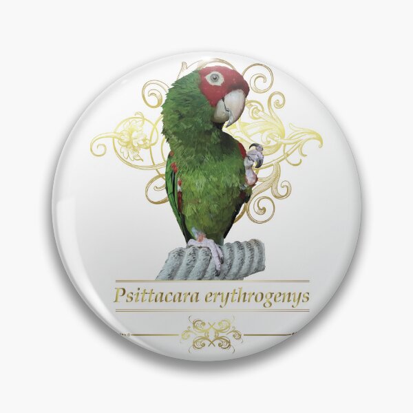 Item preview, The red-headed parrot designed and sold by obscurite.