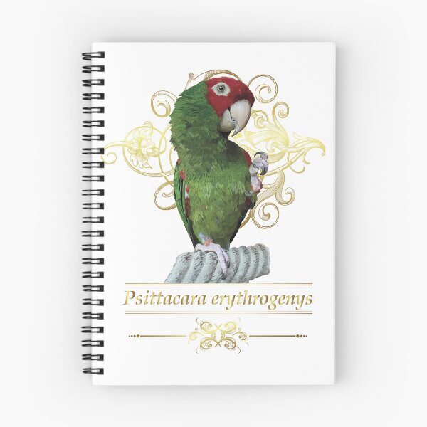 Item preview, The red-headed parrot designed and sold by obscurite.