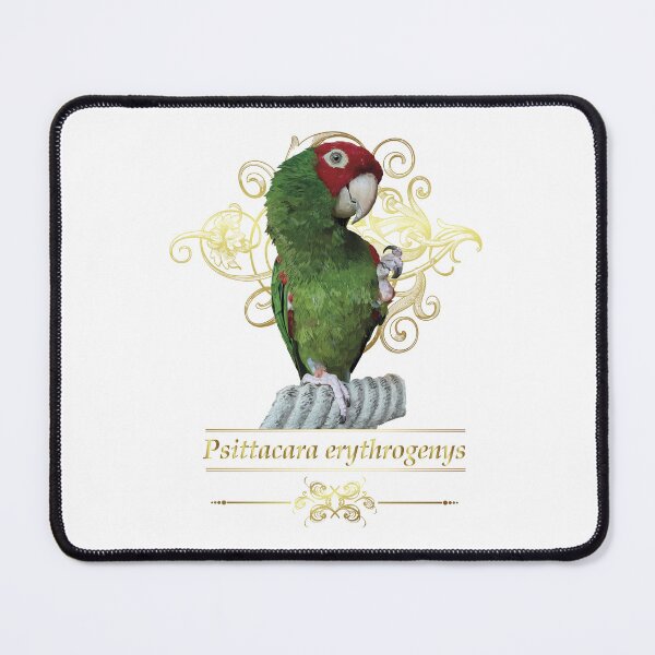 Item preview, The red-headed parrot designed and sold by obscurite.