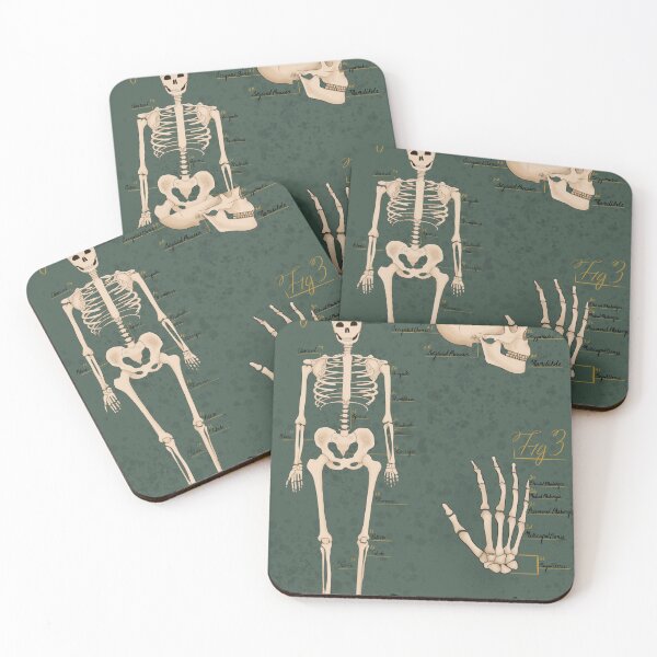 Item preview, Skeletal Anatomy  designed and sold by Cb84.