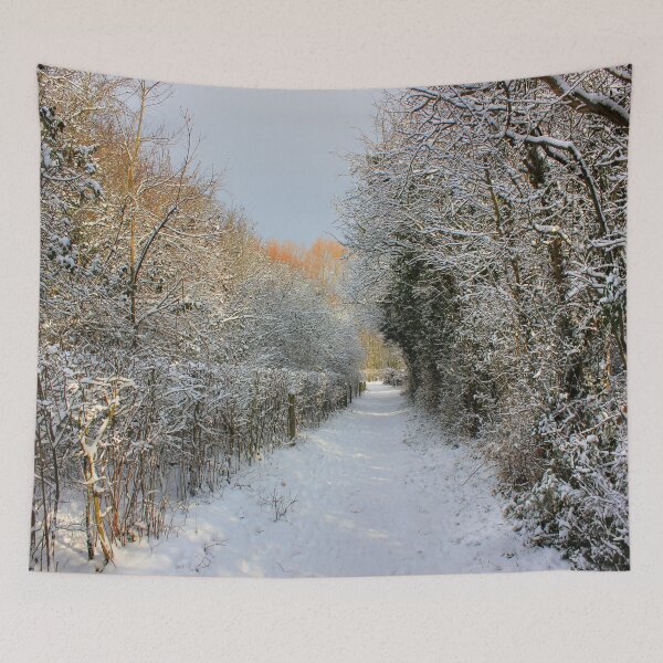 Item preview, Winter Walkway designed and sold by Vicki Spindler (VHS Photography).