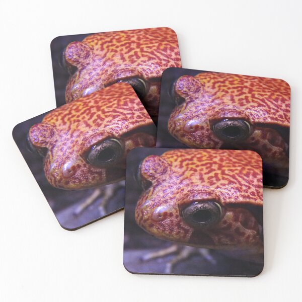 Item preview, Tomato Frog 2 designed and sold by Tippitiwichet.