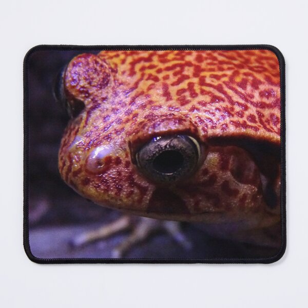 Item preview, Tomato Frog 2 designed and sold by Tippitiwichet.