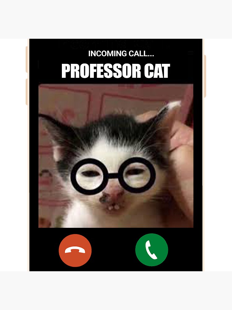 Prof Cat Memes Professor Cat | TikTok