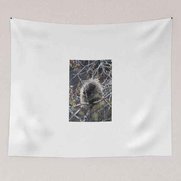 Item preview, Porcupine in Spring designed and sold by Alyce Taylor.