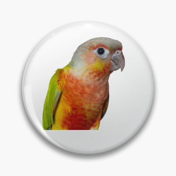 Item preview, Pineapple Green Cheeked Conure Cute Bird Birb designed and sold by JimNEmDesigns.