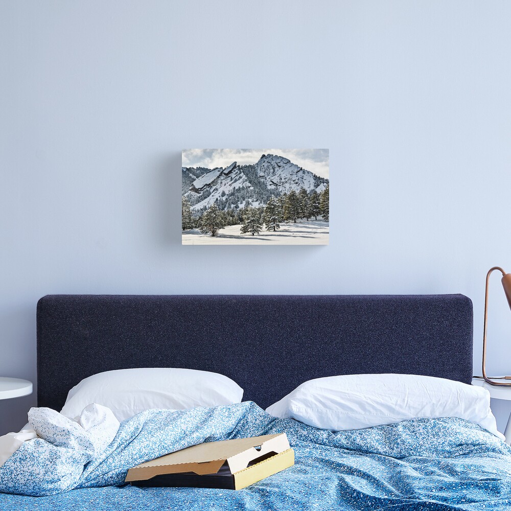The Might Flations From Bluebell Road Canvas Print