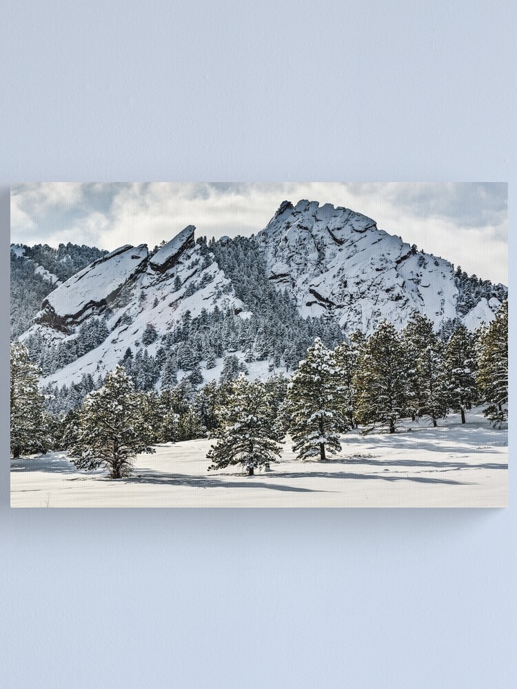 Alternate view of The Might Flations From Bluebell Road Canvas Print