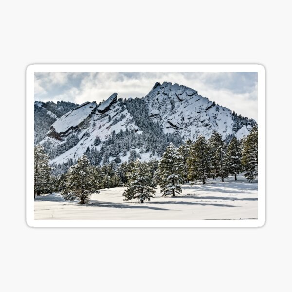 The Might Flations From Bluebell Road Sticker