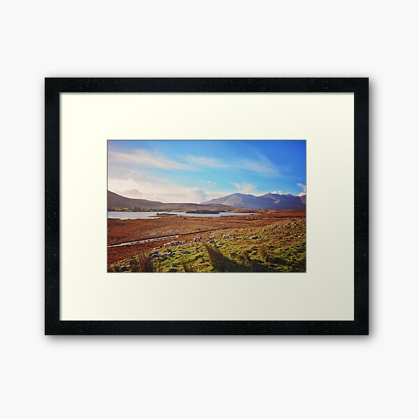 Follow the sheep Framed Art Print