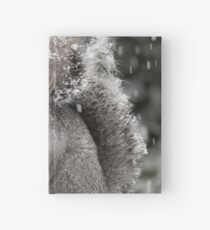 Snowy Day Gray Hardcover Journal