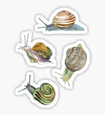 Slippery Stickers Redbubble