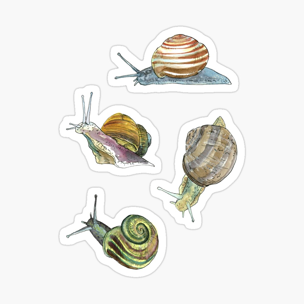 Slippery Snails 2 Sticker