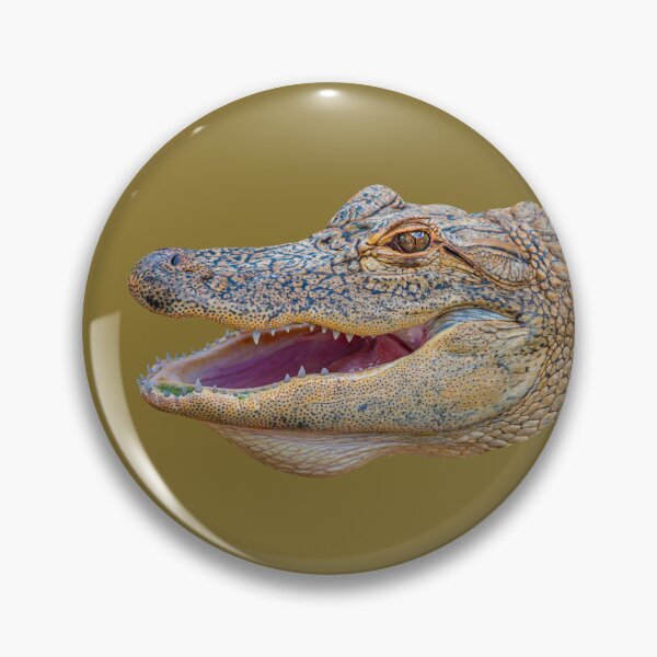 Item preview, Alligator face, is this my best side designed and sold by Dalyndigital Photography.